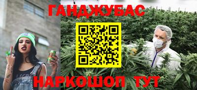 спиды Новозыбков