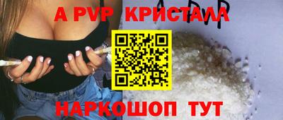 спиды Новозыбков